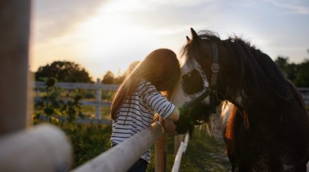Paardencoaching-voor-persoonlijke-groei