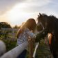 Paardencoaching-voor-persoonlijke-groei